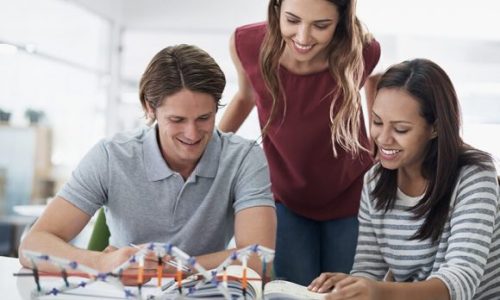 Scientific courses for Adults